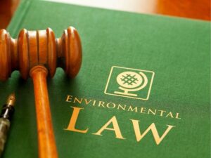 Product Liability Court Cases: What You Need to Know