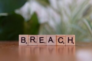 Damages for Intellectual Property Infringement in the U.S.